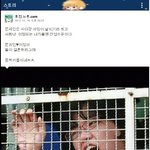 <b>일베</b>의 꿈나무.jpg