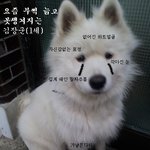 <b>다섯</b>번째, 한 발랄하는 김장군이판 -근황 매우짧음ㅋ-