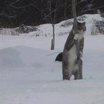 크리스마스에대처하는 솔로의자세북덕유산 눈꽃산행기