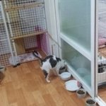 저희도 가족이 있었으면 좋겠어요 (^ . .)