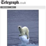 이사진을보면서 어떤생각이 드시나요?