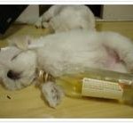 다들.. <b>주량</b> 좀 쎄냐..?
