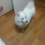 얼굴만 귀염(둥)이