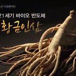<b>홍삼</b>먹으면안되는사람은 중국이 만든 헛소문이었데요!