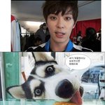 동물닮은 보이프렌드