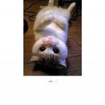 케이알의 무서운 이야기 -(1)