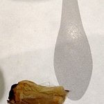 <b>롯데</b>백화점 정말 화납니다!!!