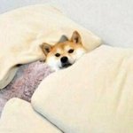 알고보면더재밌는광고이야기2탄크리에이티브세계