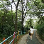 <b>군산</b>에서 본 것들