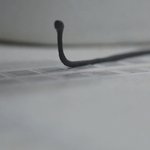 연가시가 집안에서 발견되다?!!?? 비주얼서스펙트