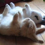 방학동안 잉여탈출!!! 같은 아파트 초딩들 공부 봐주는 대학생.