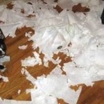 주인들 <b>멘붕</b> 시키는 강아지 모음