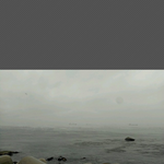 18년만에 나타나 아버지 시신과 보상금을 받고 도망간딸..도와주세요...