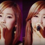 시발 <b>완도</b>는 3사 다 불참이네