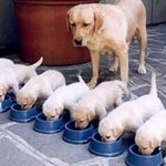 우리가 지나치기 쉬운 작은 <b>매너들</b>에 대해