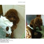 재미있는 볼거리 <b>모음</b> - 2