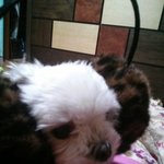 3초후 놀랄만한 사진(사진이 개판이有 +추가有 )