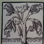 <b>식물</b>에서 양이 자란다? - 타르타리의 <b>식물</b>양