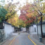 @@사진有)ㄷㅅ여중1-3반을 소개합니다 @@