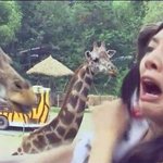 프리허그의<b>악몽</b>(좀봐주세요)