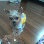 동안동안 <b>열매</b> 먹은 우리집 막내