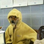 요즘 완전 춥지요? 그래도 <b>흔녀</b>는 살아잇어요!