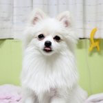 한글이 미<b>소판</b> [31]