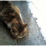 <b>새해</b> 첫 <b>날</b> 아침에...