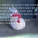 <b>동물</b>을 죽여야 하는 이유