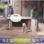 아.,,택시 기사님 제발,,,ㅠ (황당)