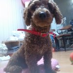 [[잃어버린 천사를 찾을수 있게 도와주세요.]]