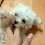 단지판을 시작하겠습니다.