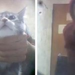 방송서 고양이 목조르고 때리고… 막장 <b>bj</b> 논란