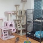 버려지고 상처받은 아이들에게 축복이 있길~