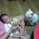 <b>마루</b>냥이그대와한살베기그녀효빈