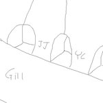 사실 코엑스도 샤<b>몰이</b>를 함