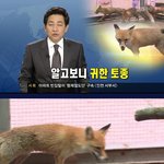 우리나라 <b>밀수</b>꾼의 위엄 ㄷㄷㄷ