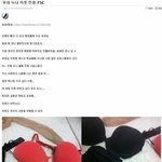 자기 누나 속옷 인증하는 일베충...