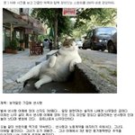 이런 <b>농약</b>같은 기집애
