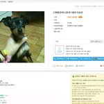 어떤 무개념이 <b>자신</b>의 애완견을 판매합니다.