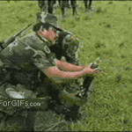 3초뒤가 궁금한.<b>gif</b>