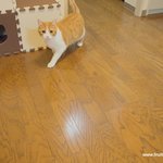 운동의 효과(유봉이네)