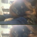 클릭有) 저희집 9쌍둥이ㅋㅋㅋㅋㅋㅋㅋㅋㅋㅋㅋㅋㅋㅋ