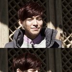 달마시안!!!