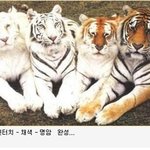일주일 넘게 일을 안하고 있으니까..
