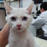 동물원에 감금 1일째...