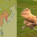 미국인이 보는 한중일