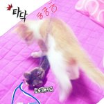 달달하지~ 우리달지의 매력에 빠져보세요!