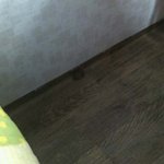 동생방에 벌레잡으러갔다가...