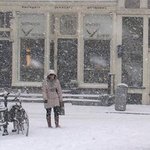 신종플루까지도 홍삼이 예방해준다니 대단하네요...